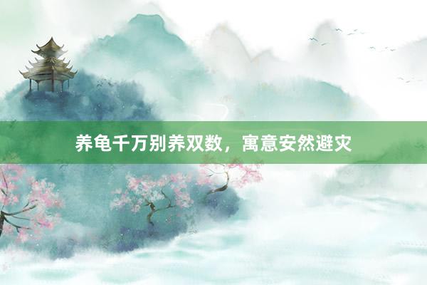 养龟千万别养双数，寓意安然避灾