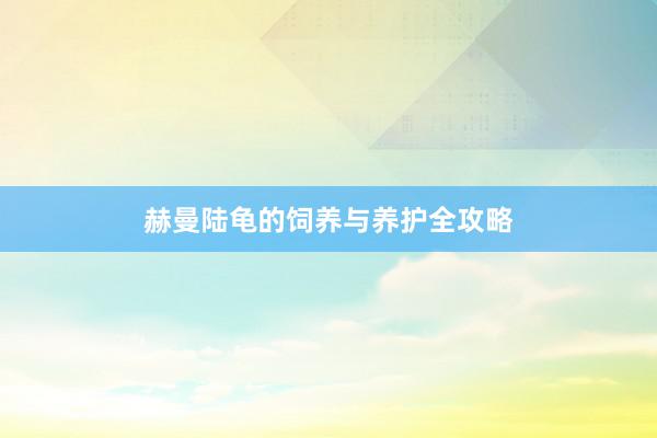 赫曼陆龟的饲养与养护全攻略